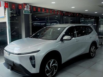 Vinfast Limo Green 2026 623 Triệu Nhận Xe Ngay