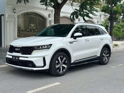 Sorento 2021 Luxury od 8V zin bao check