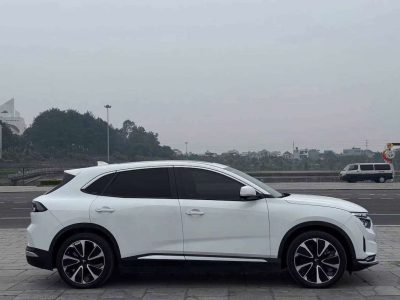 VF8 Plus Vin 2025 Trắng NT Nâu Đăng kí xe 2026