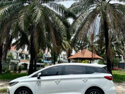 BYD M6 2025 bao check